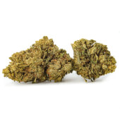 Flors de CBD Pineapple Express Indoor