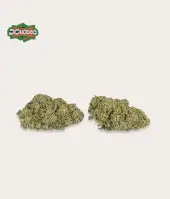 Flors de CBD Watermelon Greenhouse