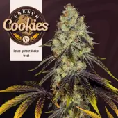 French Cookies 2 semillas