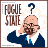 Fugue State Auto