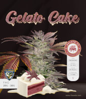 T.H.Seeds Gelato Cake 