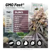 GMO Fast