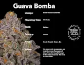 Guava Bomba