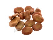 Fava Superaguadulce Eco - Batlle