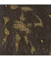 CBN Hash Cali Plate