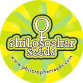Hashplant#8 x Warlock Philosopher Seeds Test Line