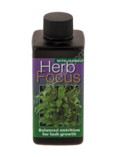 Herb Focus 