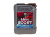 HESI Boost