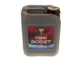 HESI Boost