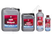 HESI Boost