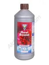 HESI Boost