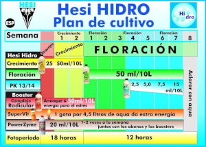 HESI Complexe Racinaire