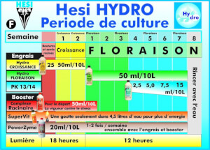 HESI Wachstum für Hydroponik