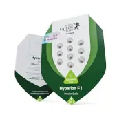 Hyperion F1 Auto