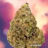 Ice Cream Haze