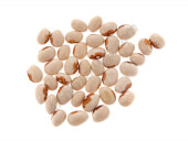 Organic Custodia Bean - Les Refardes