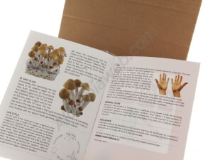 Kit de culture de champignons Psilocybe B+ - Innervisions