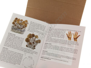 Psilocybes Ecuadorian mushrooms growing kit - Innervisions