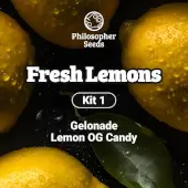 Fresh Lemons Kit