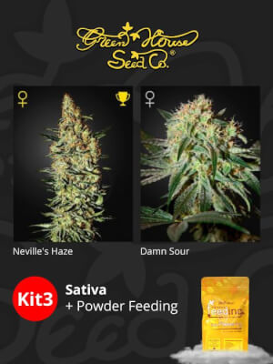 Kit Sativa + Powder Feeding