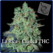 La Rica - Elite Seeds