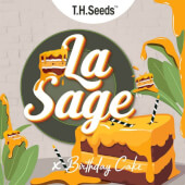 La S.A.G.E. x Birthday Cake x SBC