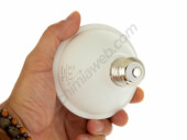 Agrolite Led Dark night light