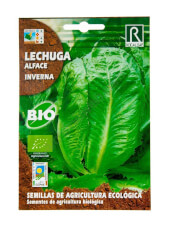 Rocalba - Grüner Wintersalat Bio-Samen
