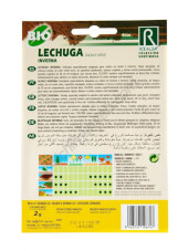 Rocalba Inverna Organic Lettuce