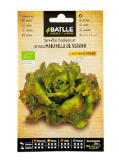 Batlle Organic Summer Wonder Lettuce