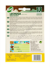 Lechuga Reina de Mayo Bio Rocalba