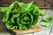 Organic Romaine Lettuce - Les Refardes