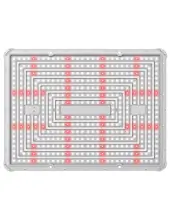 Cosmos led X200 w Vanguard