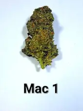 MAC 1 Auto