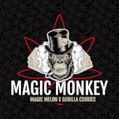 Magic Monkey