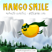 Mango Smile Auto