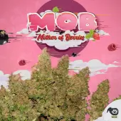 MOB - Mother of Berries