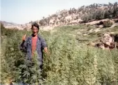Moroccan Beldia