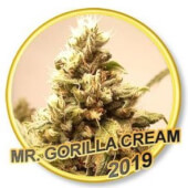 Mr Gorilla Cream - Régulier