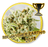 Mr Mother Earth - Regular