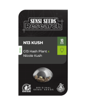 N13 Kush 