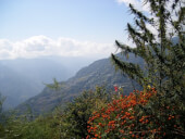 Nepal Annapurna