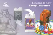 Nirvana - Tasty Terpenes