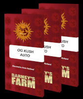 OG Kush Auto - Barney's Farm