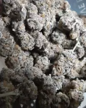 Orange an Berriez