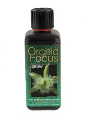 Orchid Focus Grow 