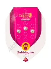 Royal Queen Seeds Gift Pack with Bubblegum XL
