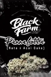Pannacotta