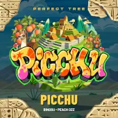 Picchu