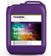 Plagron Green Sensation